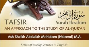 towards-understanding-the-quran_center-for-islamic-studies